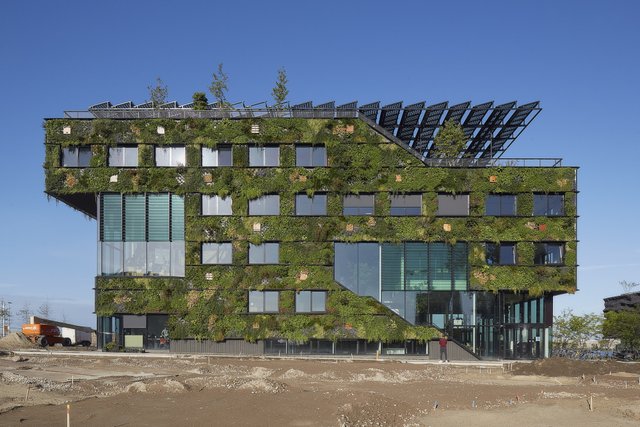 Rethink Software Determined To Continue To Lead The Way In The Sustainable ...